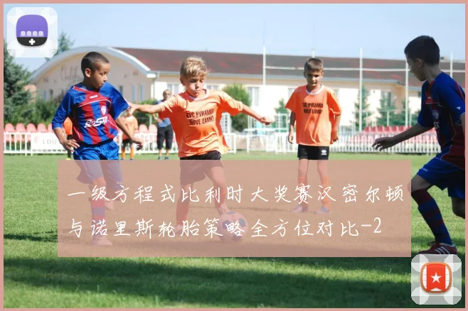 一级方程式比利时大奖赛汉密尔顿与诺里斯轮胎策略全方位对比