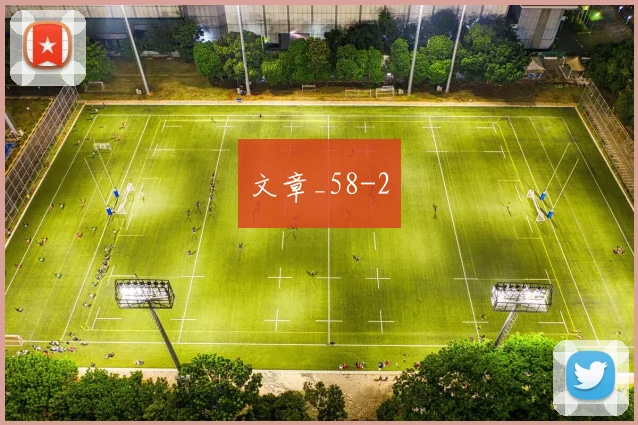 文章_58