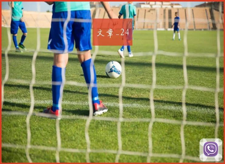 文章_24
